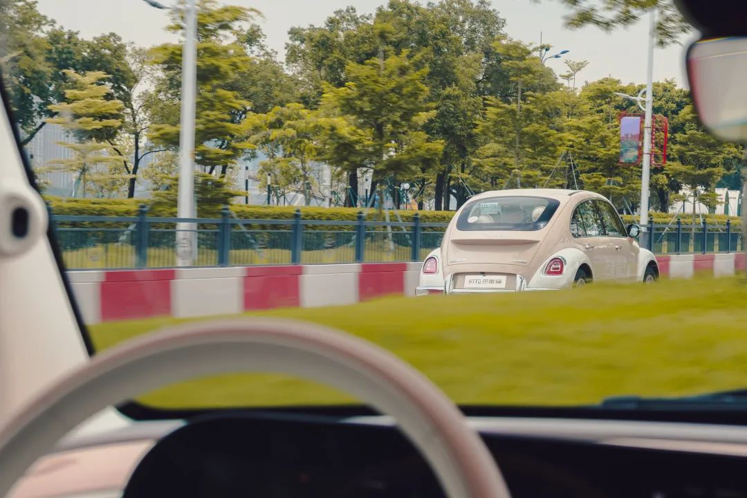 女神专属的芭蕾猫，以实力诠释高贵之美！