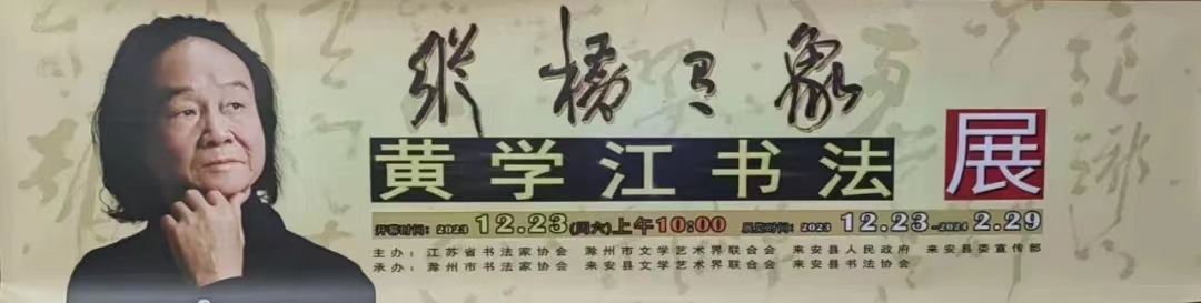 不忘桑梓哺育情，文化引领助振兴——黄学江《纵横之象》书法展在滁州博物馆隆重举行