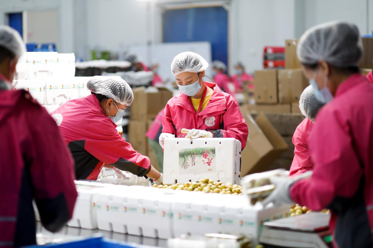 突破发展瓶颈每日优鲜带来生鲜零售新角度