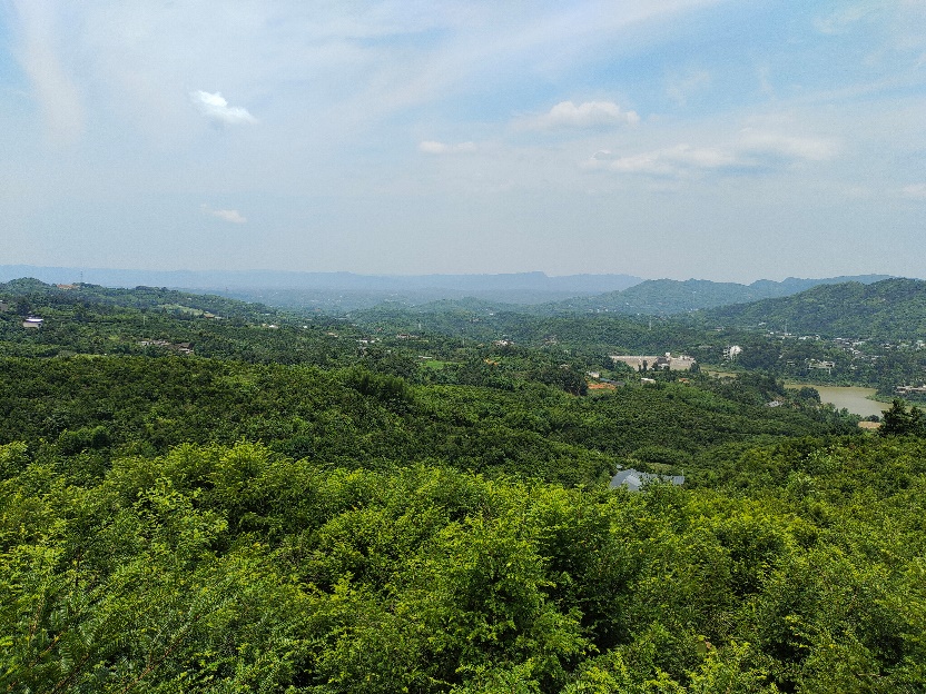image5
