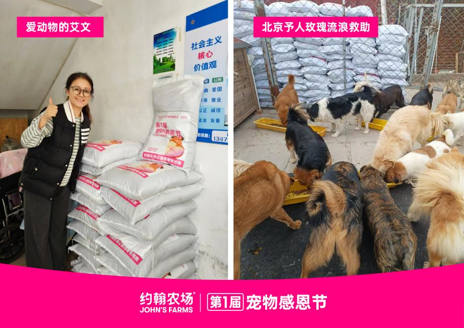 ​约翰农场&中国小动物保护协会联袂呈现：第一届宠物感恩节圆满落幕