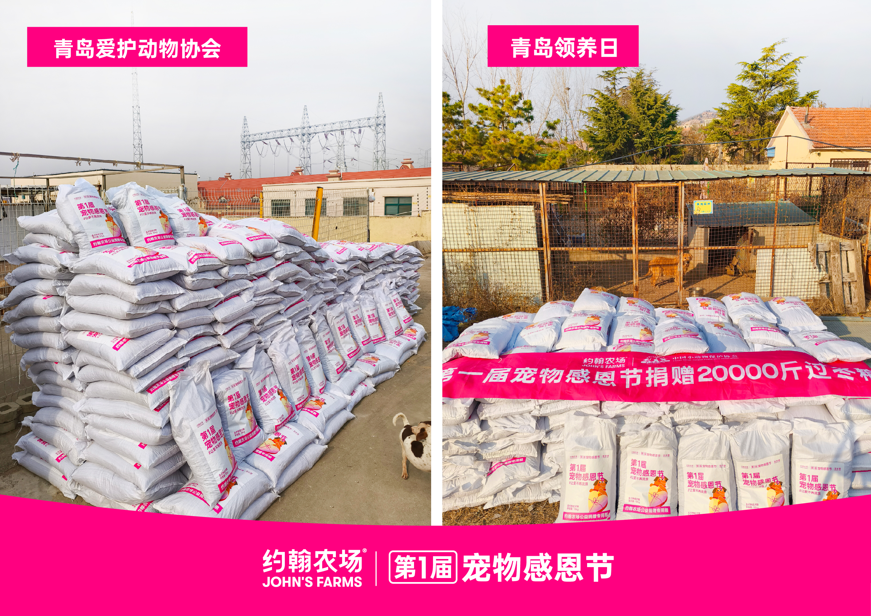 ​约翰农场&中国小动物保护协会联袂呈现：第一届宠物感恩节圆满落幕