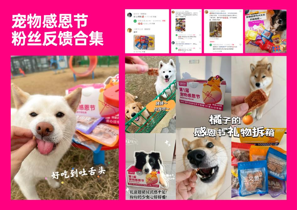 ​约翰农场&中国小动物保护协会联袂呈现：第一届宠物感恩节圆满落幕